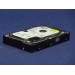 Western Digital WD800 3.5 in 7200RPM  80 GB IDE Hard Drive
